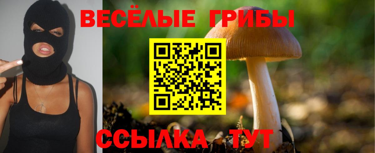 Галлюциногенные грибы мицелий Томск