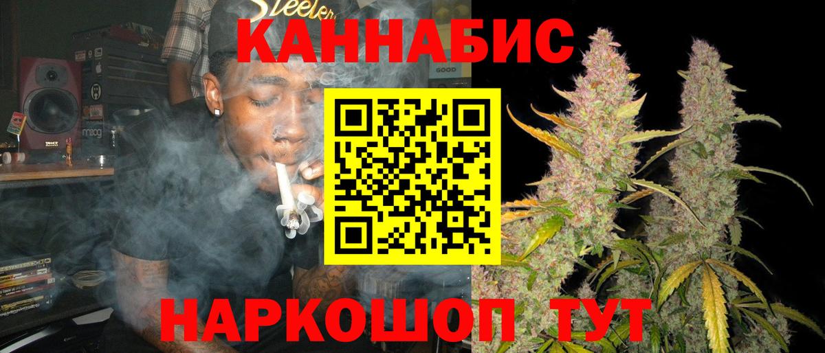 Каннабис планчик Томск